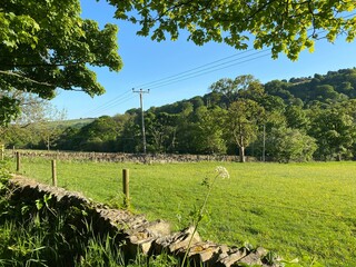Fototapeta premium Rural scene, looking over a dry stone wall, at fields, and old trees in, Shibden Valley, Halifax, UK
