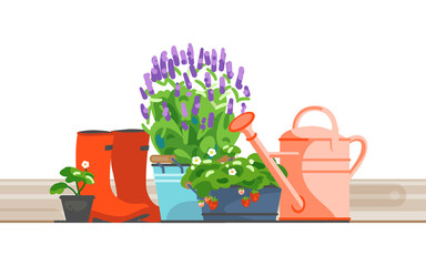 Blooming lavender iron bucket, strawberry in pots, watering can and rubber boot for home gardening. Vector illustration - 420877004