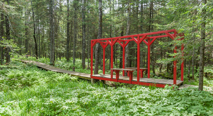 Secluded walkway is the way for relaxation