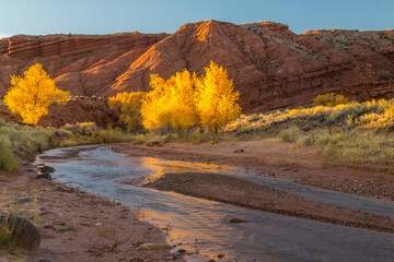 USA, Utah, Capitol Reef National Park. Sulphur Creek in autumn.