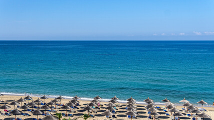seagulls on the beach