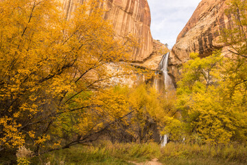 USA, Utah, Grand Staircase-Escalante National Monument. Rock formation and trees in autumn.