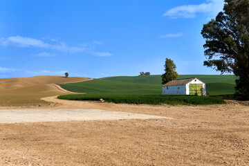 Camino o sendero de arena en un contraste de verde y campo naranja amarillado.