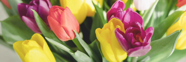 Fototapeta premium Bouquet of bright colorful tulips. Beautiful floral background. Spring flowers. Banner