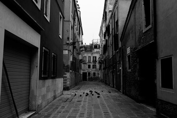 Obraz premium Venice street