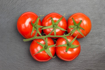 Branch of tomato on black background