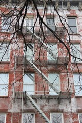 White cherry blossoms blooming in the city streets as Spring begins.