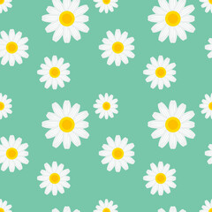 Fototapeta premium seamless pattern with camomiles or daisy, vector illustration 
