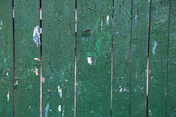 Green wooden fence background texture