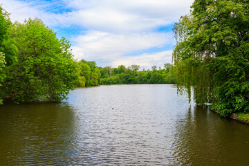 Fototapeta premium View of a beautiful lake in a green forest