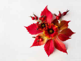 The concept of autumn. Composition of red autumn leaves and flowers on a white, aged background. copy space. flat layer.
