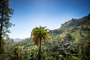 Fototapeta na wymiar Soria Gran Canaria bei strahlendem Sonnenschein