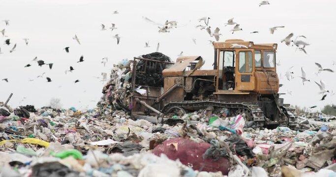 Landfill with bulldozer working, against beautiful blue sky full of sea birds. Great for environment and ecological themes