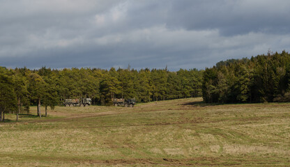 British army MAN SV 8x8 logistics vehicles on military exercise take cover amongst dense woodland 