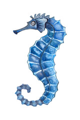Ocean sea-horse