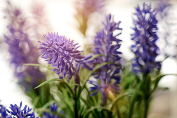 Blue flowers of cornflowers, summer rustic bouquet. Spring bouquet with sun rays