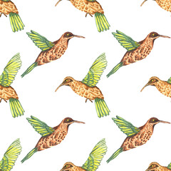 Watercolor seamless pattern. Botanical background with hummingbirds. Design elements, birds. Perfect for textile, packing, fabric, invitations, cards.