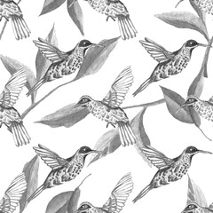 Watercolor seamless pattern. Botanical background with hummingbirds, leaves, branches and herbs. Design elements, birds. Perfect for textile, packing, fabric, invitations, cards.