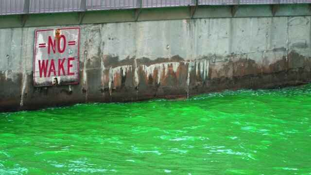 Green colored water in the Chicago River splashes against the riverwalk side wall by a 'No Wake' sign after the city dyed the water for St. Patrick's Day.