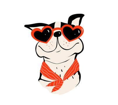 Pug or bulldog wearing sunglasses in heart shape and a red scarf illustration, cute animal design of funny smiling happy dog. Vector dog for kids illustration.