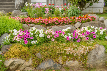 A perfect neighbourhood. Houses in suburb at Summer in the north America. Luxury houses with nice landscape.