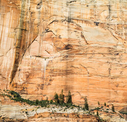 USA, Utah. Zion National Park, Navajo Sandstone canyon wall