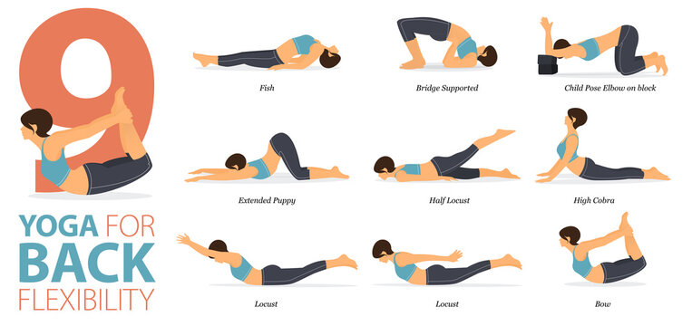 9 Yoga poses or asana posture for workout in Back Flexibility concept. Women exercising for body stretching. Fitness infographic. Flat cartoon vector