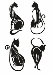 Black cats . Collection of cats.  Pets