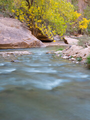 USA, Utah. Zion National Park, Virgin River