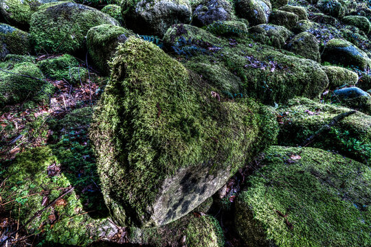 River Rocks Covered with Moss