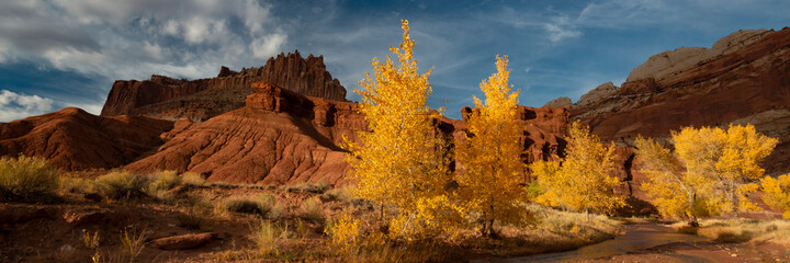 USA, Utah. Autumn cottonwoods along the Fremont River with the Castle, Capitol Reef National Park.