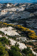 USA, Utah. Autumn cottonwoods and sandstone formations in canyon, Grand Staircase-Escalante National Monument.