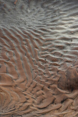 USA, Utah. Designs in the sand from water run-off, Grand Staircase-Escalante National Monument.