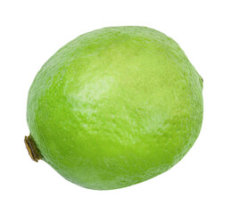 Lime closeup isolated on white background. Whole fresh lime front view. Healthy fruit food background. Organic ripe fruit. 