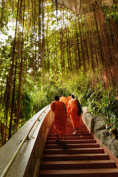 Buddhist monks on stairway, Wat Saket, Golden mount, Bangkok, Thailand