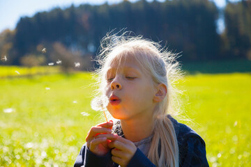 Girl blowing seeds from dandelion clock in field, backlit