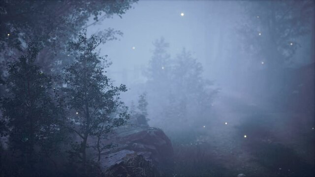 foreat at hight with bright moon light