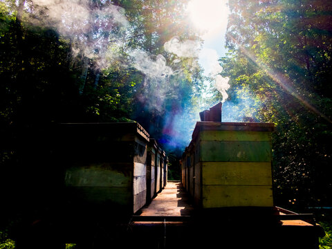 Bee smoker on beehive in farm, Ural, Bashkortostan, Russia
