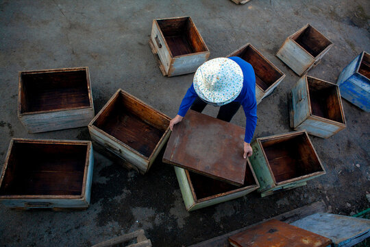 Beekeeper preparing boxes for beehive, Ural, Sverdlovsk, Russia