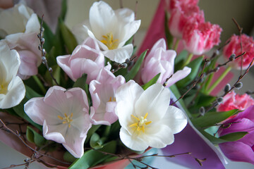 White and pink tulips . Bouquet of pink tulip