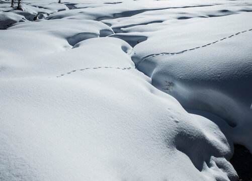 Animal tracks in snow covered landscape,  Alpe Ciamporino, Piemonte, Italy
