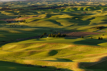 Pattern in rolling hills of the Palouse agricultural region of Eastern Washington State.