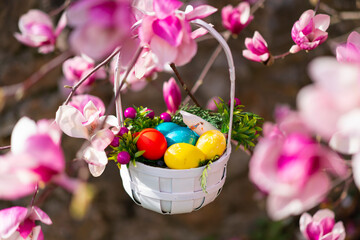 Close up of basket with colorful easter eggs against pink flowers in garden or park. Happy Easter background. 