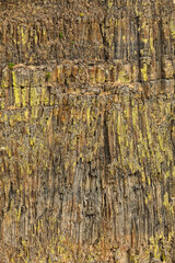 Pattern on basalt cliffs, Palouse Falls State Park, Franklin, Whitman County, Washington State.