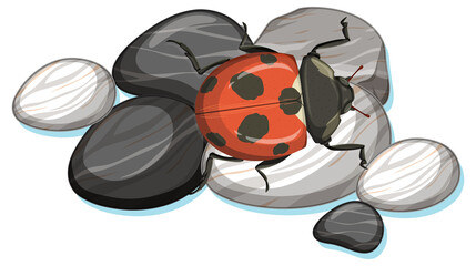 Top view of ladybug on a stone on white background