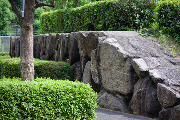 大阪芸大の大学内の庭