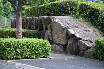 大阪芸大の大学内の庭