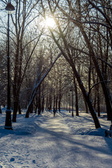 Snowfall in the courtyard park at sunset.