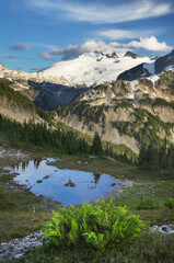 Mount Challenger, seen from Tapto Lakes Basin on Red Face Peak, North Cascades National Park