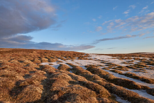Frozen tundra, Grindav&iacute;k, Gullbringusysla, Iceland